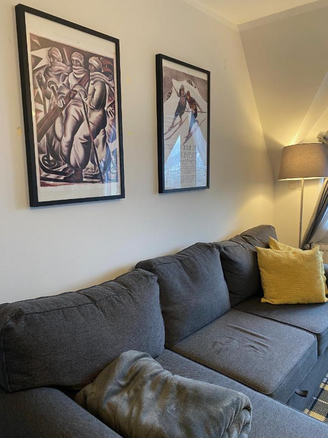 Apartamenty Miluchna Zakopane Dış mekan fotoğraf
